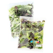 Kropslamix, krulsla melange of jonge bladsla met rucola of veldsla